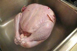 roasting a turkey