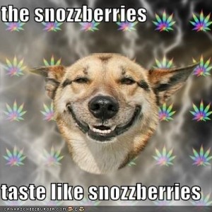 snozzberries2